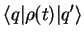 $\displaystyle \langle q \vert \rho(t) \vert q'\rangle$