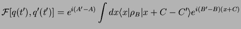 $\displaystyle {\cal F}[q(t'),q'(t')] = e^{i(A'-A)} \int dx \langle x\vert \rho_B \vert x +C-C' \rangle e^{i(B'-B)(x+C)}$