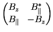 $\displaystyle \left( \begin{matrix}B_z & B_{\Vert}^*\\
B_{\Vert} & - B_z\end{matrix}\right)$