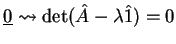 $\displaystyle \underline{0}\leadsto
\det (\hat{A} - \lambda \hat{1}) = 0$