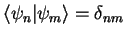 $ \langle \psi_n \vert \psi_m \rangle =\delta_{nm}$